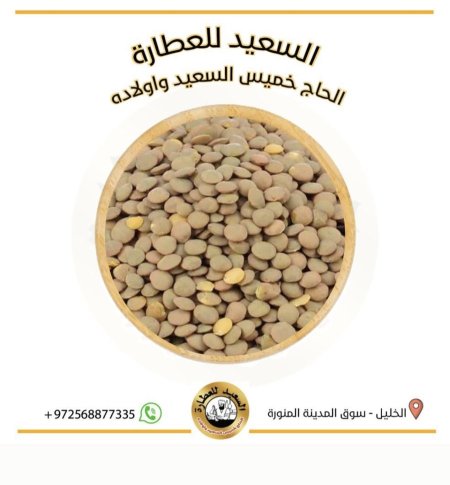 عدس بني حبة كبيرة