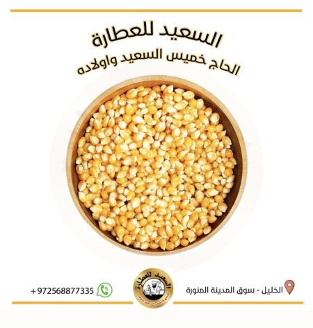 ذرة ( Corn )