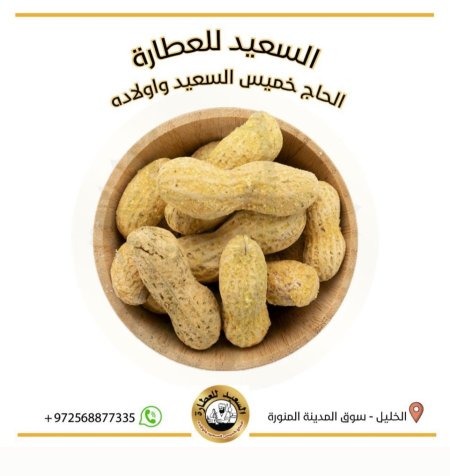 فول سوداني ( Peanut )