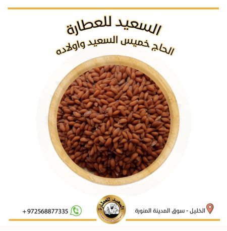 بذور رشاد