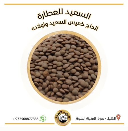 عدس بني حبة صغيرة