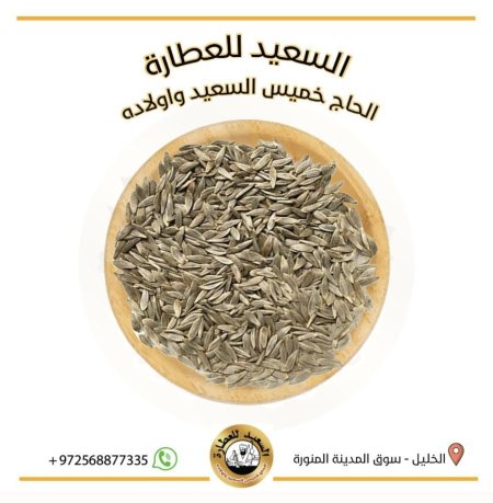 بذور الخس
