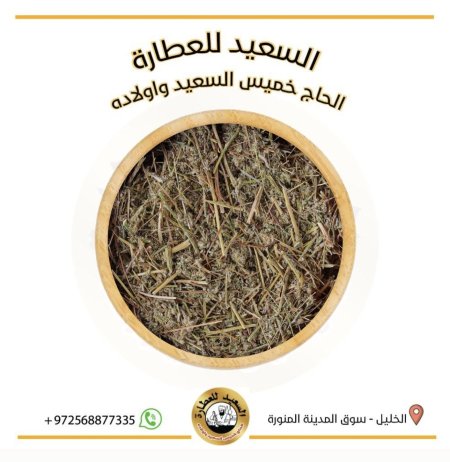 شيح
