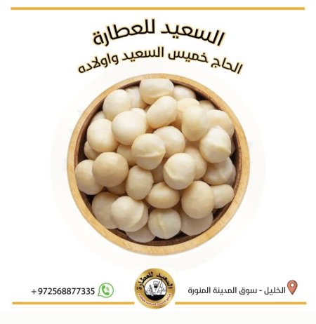 بندق المكاديميا