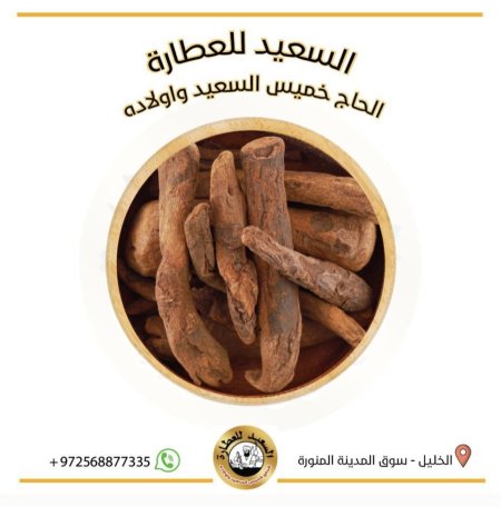 دباغ البلوط
