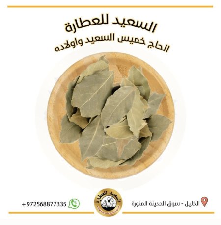 ورق غار