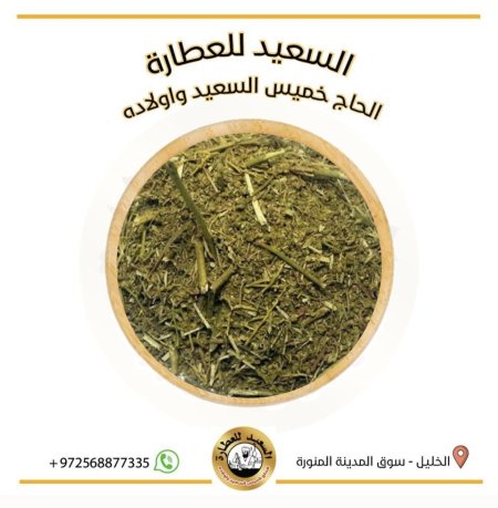 عشبة سداب