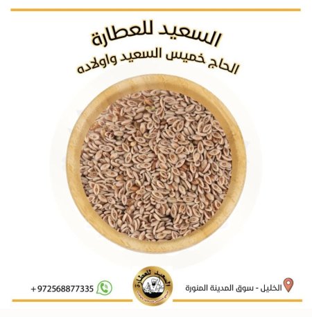عشبة اسبغول