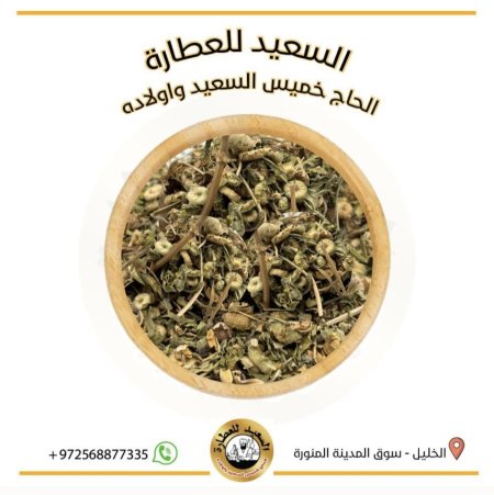 بذور الخبيزة