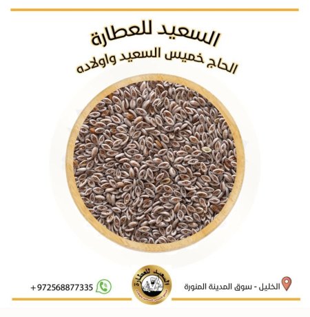 بذور قاطونة