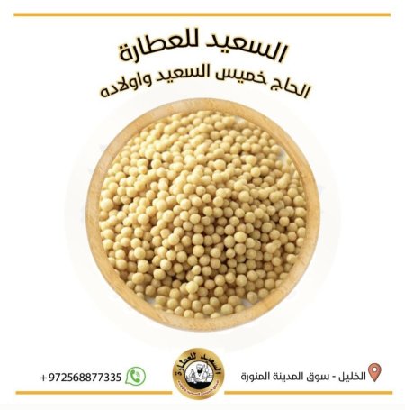 مفتول