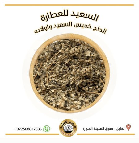 زهرة القراص