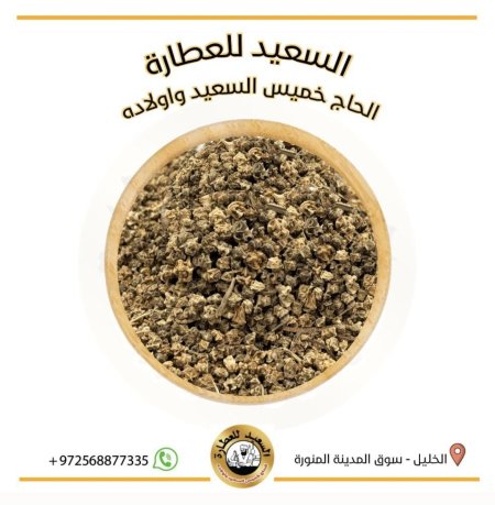بذور السلق