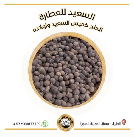 بذور العرعر
