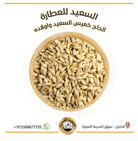 بذور الشعير
