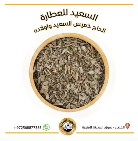 عشبة زيزفون