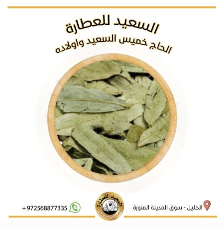 عشرق