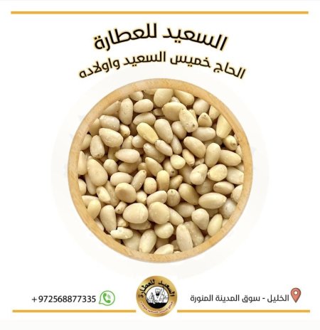 صنوبر صيني